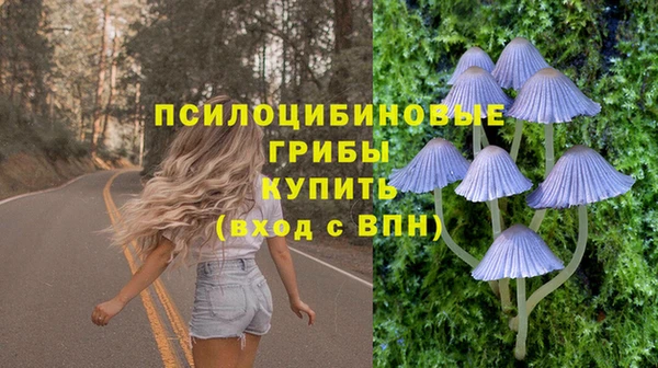 тгк Ладушкин