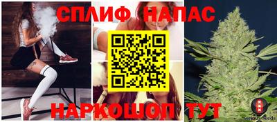 шишки Кингисепп