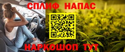 шишки Кингисепп