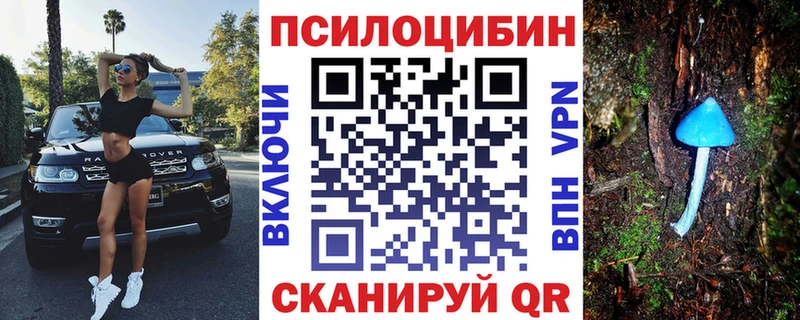где можно купить   Краснокамск  Псилоцибиновые грибы Psilocybe 